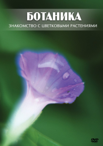 DVD "Ботаника. Знакомство с цветковыми растениями" - fgospostavki.ru - Новоалтайск