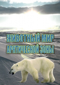 DVD "Животный мир Арктической зоны" - fgospostavki.ru - Новоалтайск
