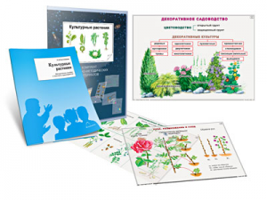 Комплект кодотранспарантов "Культурные растения" - fgospostavki.ru - Новоалтайск