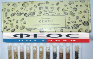 Коллекция "Семена к гербарию для начальной школы" (11 видов) - fgospostavki.ru - Новоалтайск