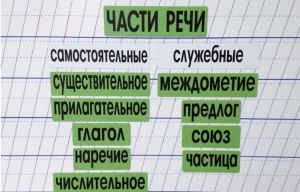 Набор магнитных карточек "Части речи" (фон зелёный) - fgospostavki.ru - Новоалтайск