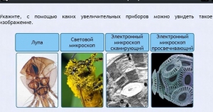 Интерактивные курсы. Биология 5 класс. Расширенный - fgospostavki.ru - Новоалтайск