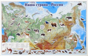 Магнитные карточки "Животные" - fgospostavki.ru - Новоалтайск