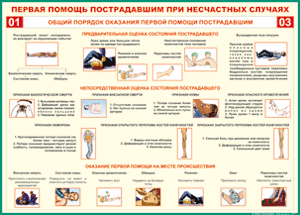 Таблица "Общий порядок оказания первой помощи пострадавшим" (100х140 сантиметров, винил) - fgospostavki.ru - Новоалтайск