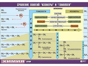 Таблица демонстрационная "Сравнение понятий изомер и гомолог" (винил 70x100) - fgospostavki.ru - Новоалтайск