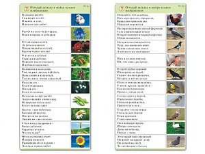 Комплект карточек (10) "Обучающий калейдоскоп. Природа" - fgospostavki.ru - Новоалтайск