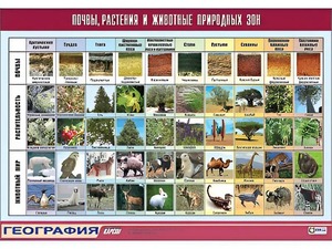 Таблица демонстрационная "Почвы, растения и животные природных зон" (винил 100*140) - fgospostavki.ru - Новоалтайск