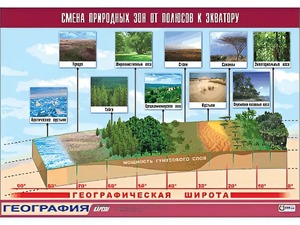 Таблица демонстрационная "Смена природных зон от полюсов к экватору" (винил 100*140) - fgospostavki.ru - Новоалтайск