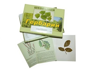 Гербарий "Дикорастущие растения" (30 видов, с иллюстрациями) - fgospostavki.ru - Новоалтайск