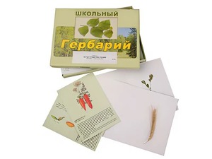Гербарий "Культурные растения" (30 видов, с иллюстрациями) - fgospostavki.ru - Новоалтайск
