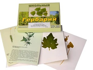 Гербарий "Систематика растений. Высшие споровые и семенные" (раздаточный) - fgospostavki.ru - Новоалтайск