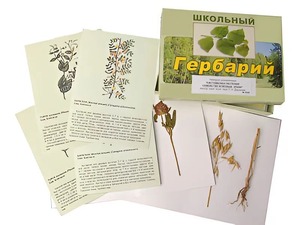 Гербарий "Систематика растений. Семейство Бобовые. Злаки" (раздаточный) - fgospostavki.ru - Новоалтайск