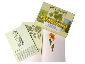 Гербарий "Систематика растений. Семейство Пасленовые. Крестоцветные. Сложноцветные" (раздаточный) - fgospostavki.ru - Новоалтайск