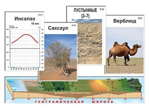 Модель-аппликация "Природные зоны" - fgospostavki.ru - Новоалтайск
