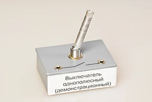 Выключатель однополюсный (демонстрационный) - fgospostavki.ru - Новоалтайск