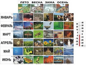 Фенологические наблюдения - fgospostavki.ru - Новоалтайск