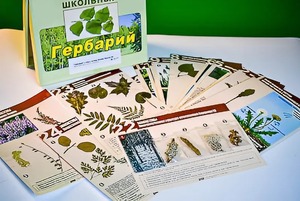 Гербарий к курсу основ общей биологии - fgospostavki.ru - Новоалтайск