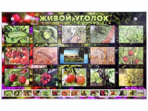 Комплект оборудования "Живой уголок" (растения) с тифлопереводом и сурдокомментариями - fgospostavki.ru - Новоалтайск