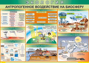 Таблица "Антропогенное воздействие на биосферу" (100х140 сантиметров, винил) - fgospostavki.ru - Новоалтайск