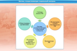 Интерактивные курсы. Обществознание 11 класс. Базовый - fgospostavki.ru - Новоалтайск