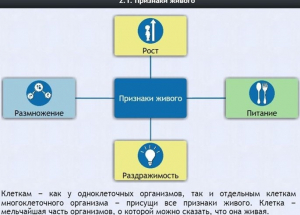 Интерактивные курсы. Биология 5 класс. Базовый - fgospostavki.ru - Новоалтайск