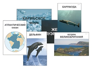 Модель-аппликация "Океаны. Знакомство" (ламинированная) - fgospostavki.ru - Новоалтайск