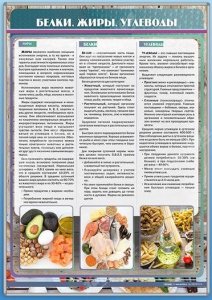 Стенд "Белки. Жиры. Углеводы" - fgospostavki.ru - Новоалтайск