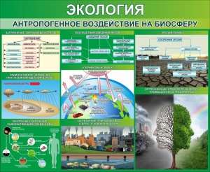 Стенд "Экология. Антропогенное воздействие на биосферу" - fgospostavki.ru - Новоалтайск
