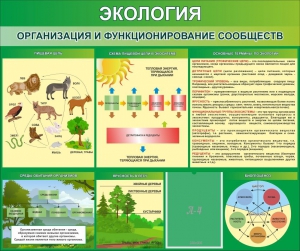 Стенд "Экология. Организация и функционирование сообществ" - fgospostavki.ru - Новоалтайск
