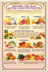 Стенд "Витамины, жиры, белки" - fgospostavki.ru - Новоалтайск