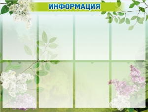 Стенд "Информация" Вариант 13 - fgospostavki.ru - Новоалтайск