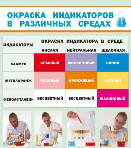 Стенд "Окраска индикаторов в различных средах" - fgospostavki.ru - Новоалтайск