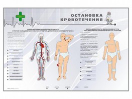 Электрифицированный стенд "Остановка кровотечения" - fgospostavki.ru - Новоалтайск