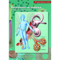 Интерактивные плакаты. Биология человека. Программно-методический комплекс - fgospostavki.ru - Новоалтайск