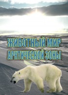 DVD "Животный мир Арктической зоны" - fgospostavki.ru - Новоалтайск
