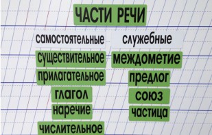 Набор магнитных карточек "Части речи" (фон зелёный) - fgospostavki.ru - Новоалтайск