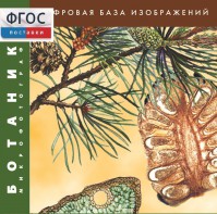 Ботаника. Микрофотографии. (Цифровая база изображений) - fgospostavki.ru - Новоалтайск