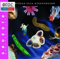 Биология. Микрофотографии. (Цифровая база изображений) - fgospostavki.ru - Новоалтайск