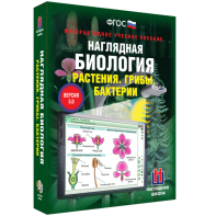 Наглядная биология. 6 класс. Растения. Грибы. Бактерии - fgospostavki.ru - Новоалтайск