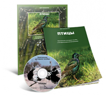 Электронное наглядное пособие «Птицы» - fgospostavki.ru - Новоалтайск