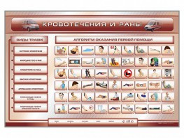 Трехсекционный базовый комплект "Травмы. Кровотечения. Ожоги" для учащихся общеобразовательных учреждений - fgospostavki.ru - Новоалтайск