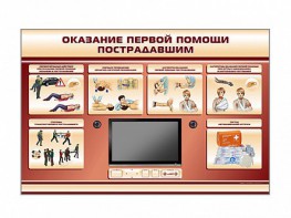 Многофункциональный интерактивный стенд-тренажер "Оказание первой помощи пострадавшим" для учащихся общеобразовательных учреждений - fgospostavki.ru - Новоалтайск