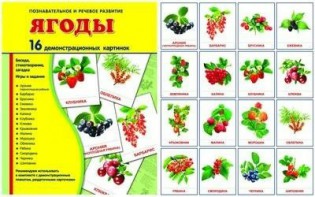 Демонстрационные карточки "Ягоды" - fgospostavki.ru - Новоалтайск