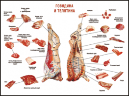 Таблица "Правила разделки мясных туш. Говядина и телятина" (100х140 сантиметров, винил) - fgospostavki.ru - Новоалтайск