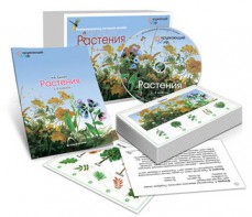 Комбинированное наглядное пособие «Растения» - fgospostavki.ru - Новоалтайск