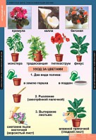 Комплект таблиц. Окружающий мир 1 класс. - fgospostavki.ru - Новоалтайск