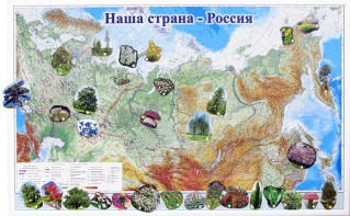 Магнитные карточки "Растения" - fgospostavki.ru - Новоалтайск