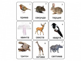Набор магнитных карточек по музыке "Животные" (9 штук) - fgospostavki.ru - Новоалтайск