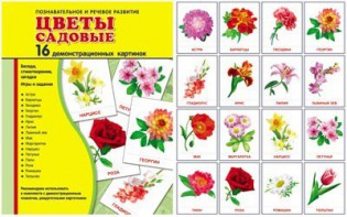 Демонстрационные карточки "Цветы садовые" - fgospostavki.ru - Новоалтайск