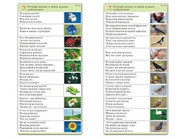 Комплект карточек (10) "Обучающий калейдоскоп. Природа" - fgospostavki.ru - Новоалтайск